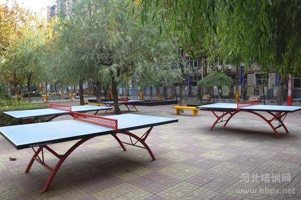 石家庄法商中等专业学校乒乓球台
